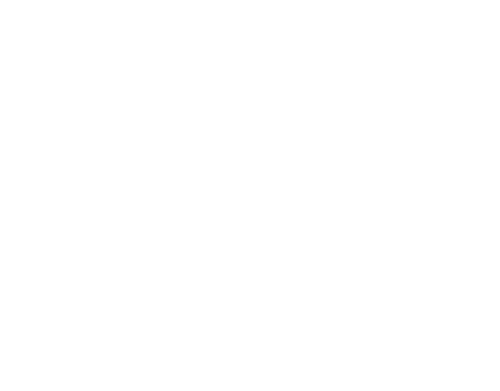 Codonis Shop logo